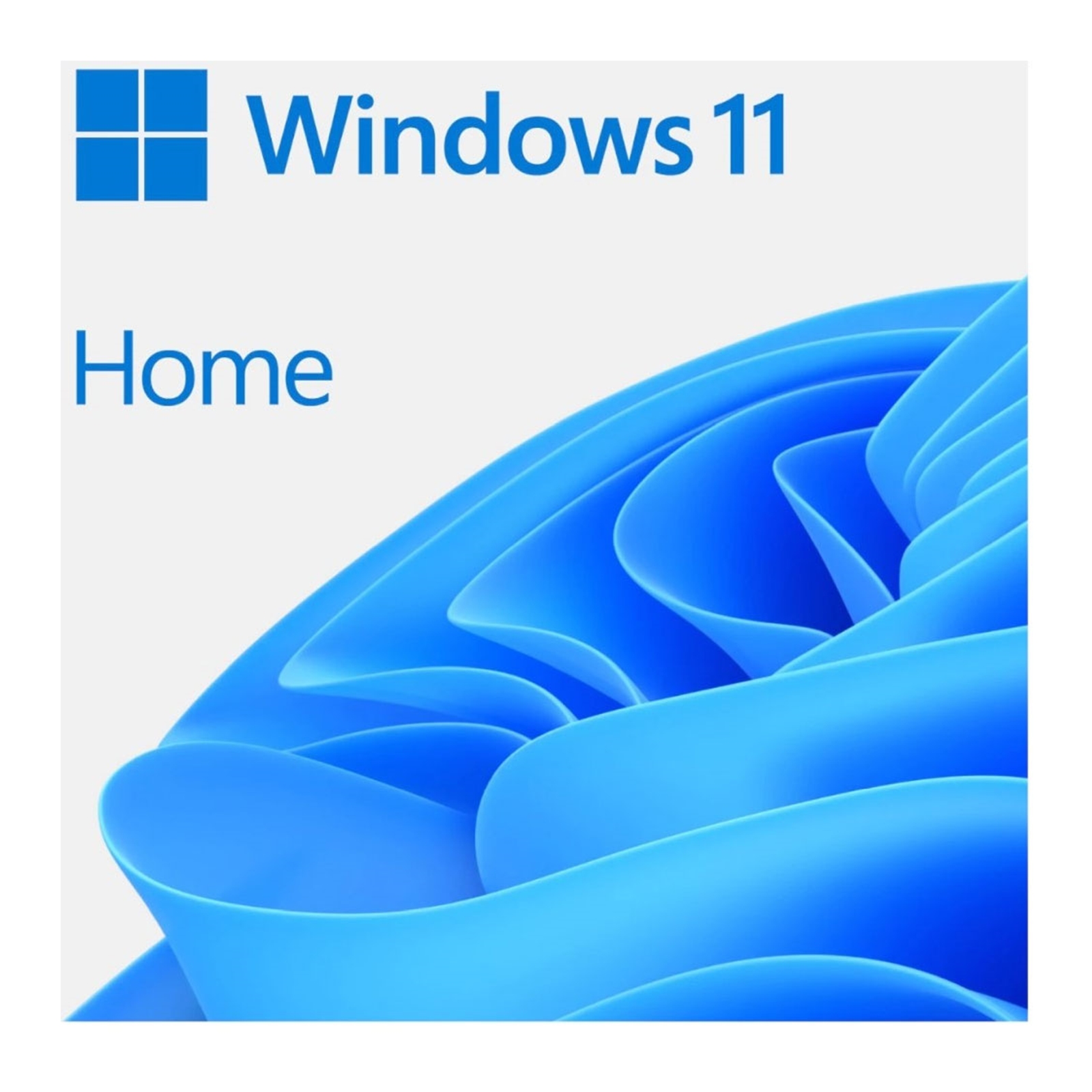 Microsoft Windows 11 Home 64bit English USB Flash Drive
