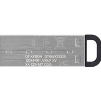 Kingston DataTraveler Kyson 256GB USB 3.2 Capless Metal USB Flash Drive