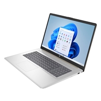 17.3 Inch Full HD Screen