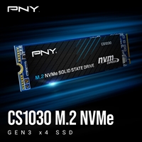 PNY CS1030 (M280CS1030-250-RB) 250GB SSD - Canny Clever Group - Affordable Computers, Laptops, Gaming Systems and Entertainment PNY CS1030 (M280CS1030-250-RB) 250GB SSD