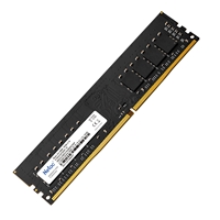 Netac Basic NTBSD4P32SP-16 16GB (1x 16GB) DIMM System Memory
