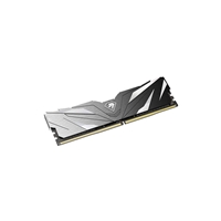 Netac Shadow NTSWD4P32DP-32K 32GB (2x 16GB) DIMM System Memory