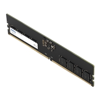 Netac Basic NTBSD5P48SP-16 8GB (1x 16GB) DIMM System Memory