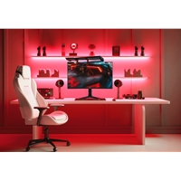 DisplayPort