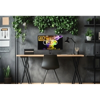 HDMI