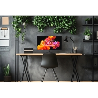 Display Port