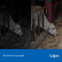 NPTPL-TAPOC520WS